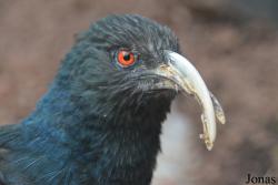 Moscow Zoo