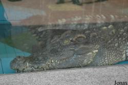 Qingdao Zoo