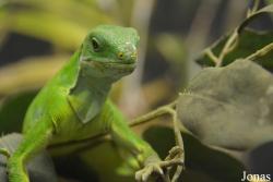 Zoological Museum of Moscow University