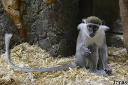 Contact Zoo Belyy Kenguru Kuntsevo Plaza