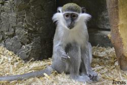 Contact Zoo Belyy Kenguru Kuntsevo Plaza