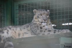 Moscow Zoo Centre for Rare Animals Reproduction (P)
