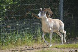 Moscow Zoo Centre for Rare Animals Reproduction (P)