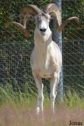 Moscow Zoo Centre for Rare Animals Reproduction (P)