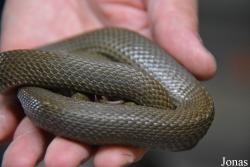 Moscow Zoo Centre for Rare Animals Reproduction (P)