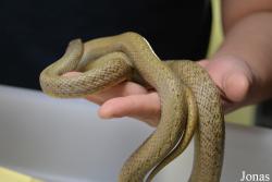 Moscow Zoo Centre for Rare Animals Reproduction (P)