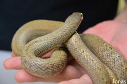 Moscow Zoo Centre for Rare Animals Reproduction (P)
