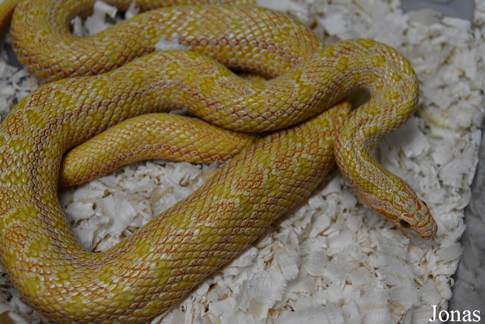 Moscow Zoo Centre for Rare Animals Reproduction (P)