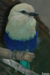 Vogelpark Walsrode