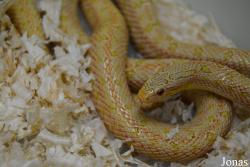 Moscow Zoo Centre for Rare Animals Reproduction (P)