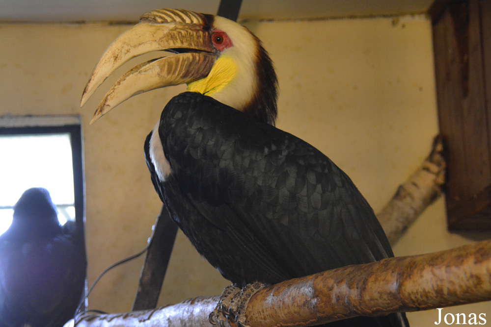 Bird Park Vorobyi