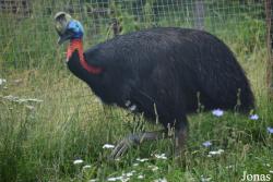 Bird Park Vorobyi