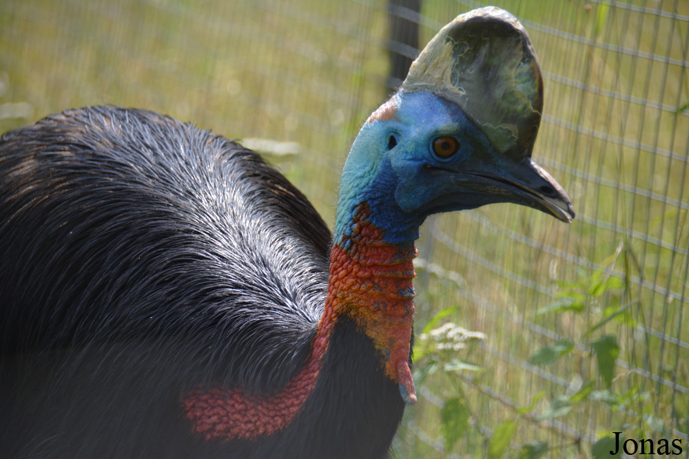 Bird Park Vorobyi
