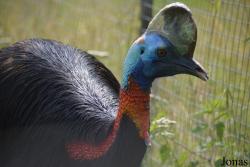 Bird Park Vorobyi