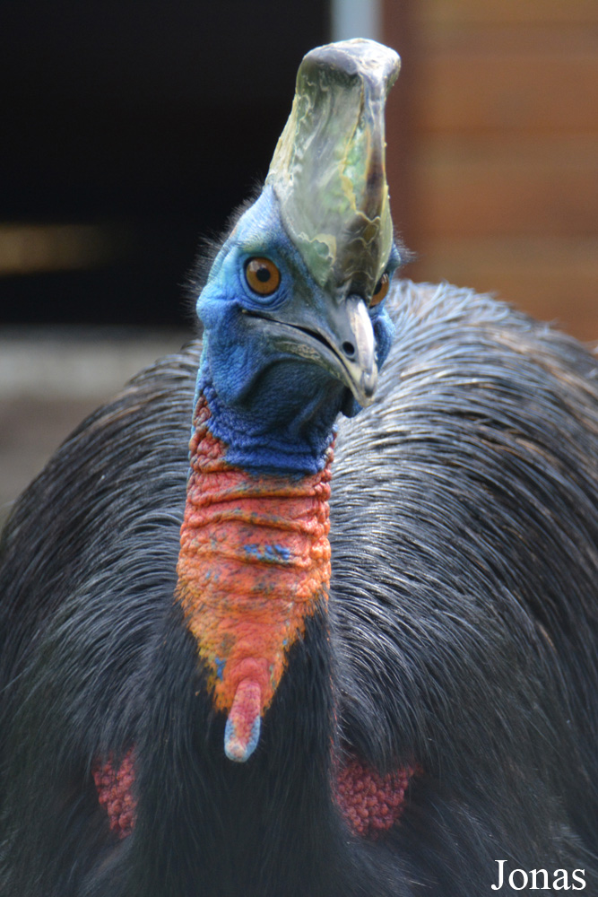 Bird Park Vorobyi