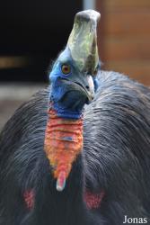 Bird Park Vorobyi