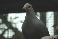 Vogelpark Walsrode