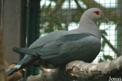 Vogelpark Walsrode