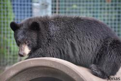 Dierenpark Zie-Zoo