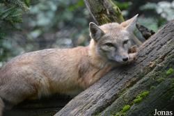 Dierenpark Zie-Zoo