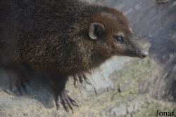 Dierenpark Zie-Zoo