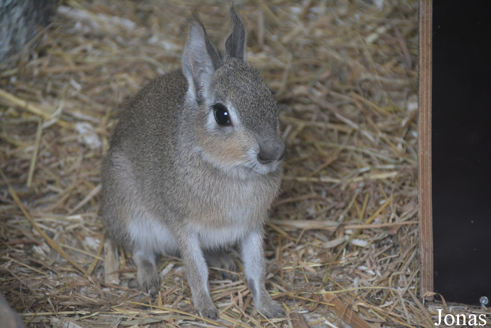 Dierenpark Zie-Zoo