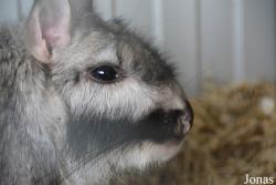 Dierenpark Zie-Zoo