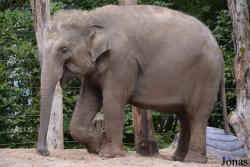 DierenPark Amersfoort