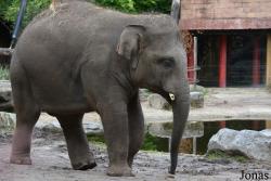 DierenPark Amersfoort