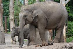 DierenPark Amersfoort