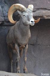 Burgers' Zoo