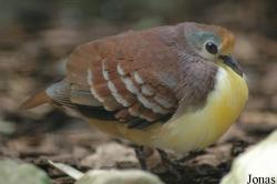 Vogelpark Walsrode