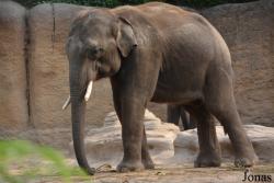 Wildlands Adventure Zoo Emmen