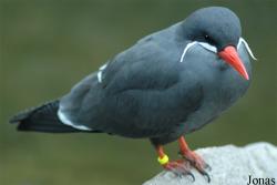 Vogelpark Walsrode