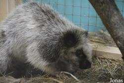 Zoopark Kaunas