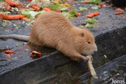 Tierpark Hamm