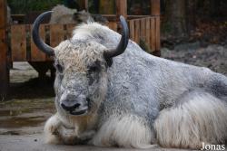 Tierpark Hamm