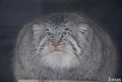 Rīgas Zooloģiskais Dārzs