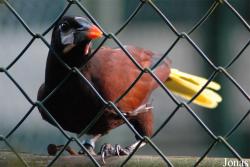 Vogelpark Walsrode