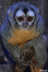 Rīgas Zooloģiskais Dārzs