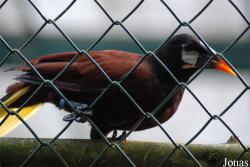 Vogelpark Walsrode