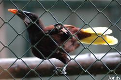 Vogelpark Walsrode