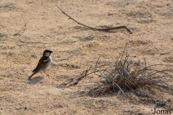 Al Wathba Wetland Reserve