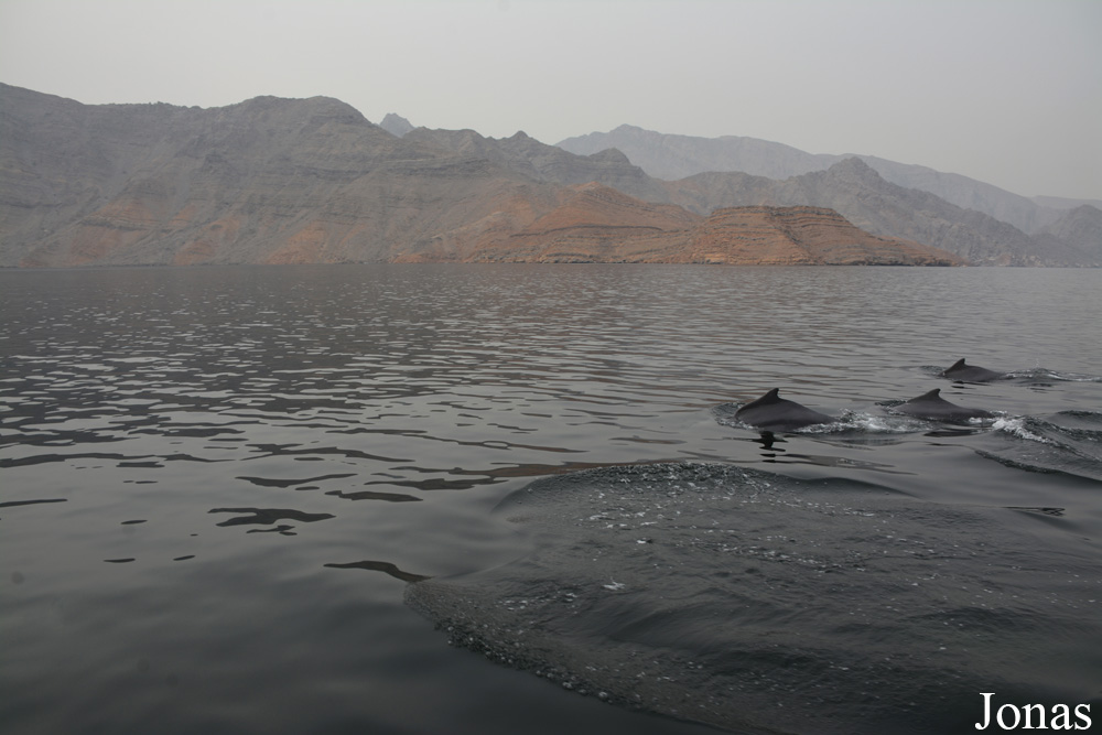 Musandam Peninsula