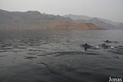 Musandam Peninsula