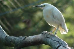 Vogelpark Walsrode