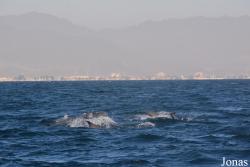 Fujairah