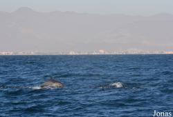 Fujairah