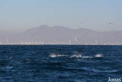 Fujairah