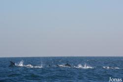 Fujairah